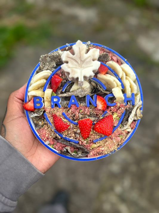 Enrichment Treat Ideas