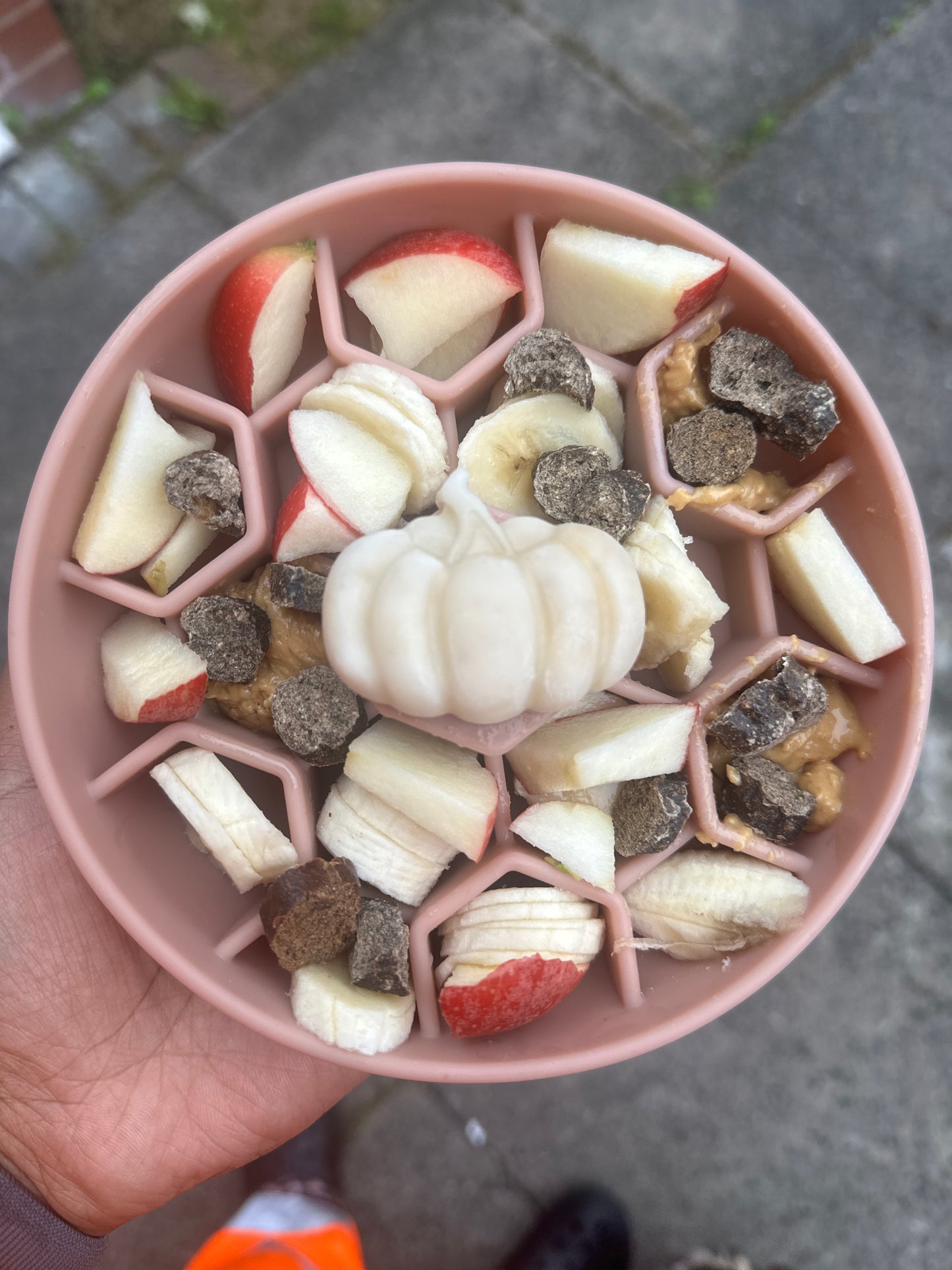 Honeycomb Enrichment Bowl