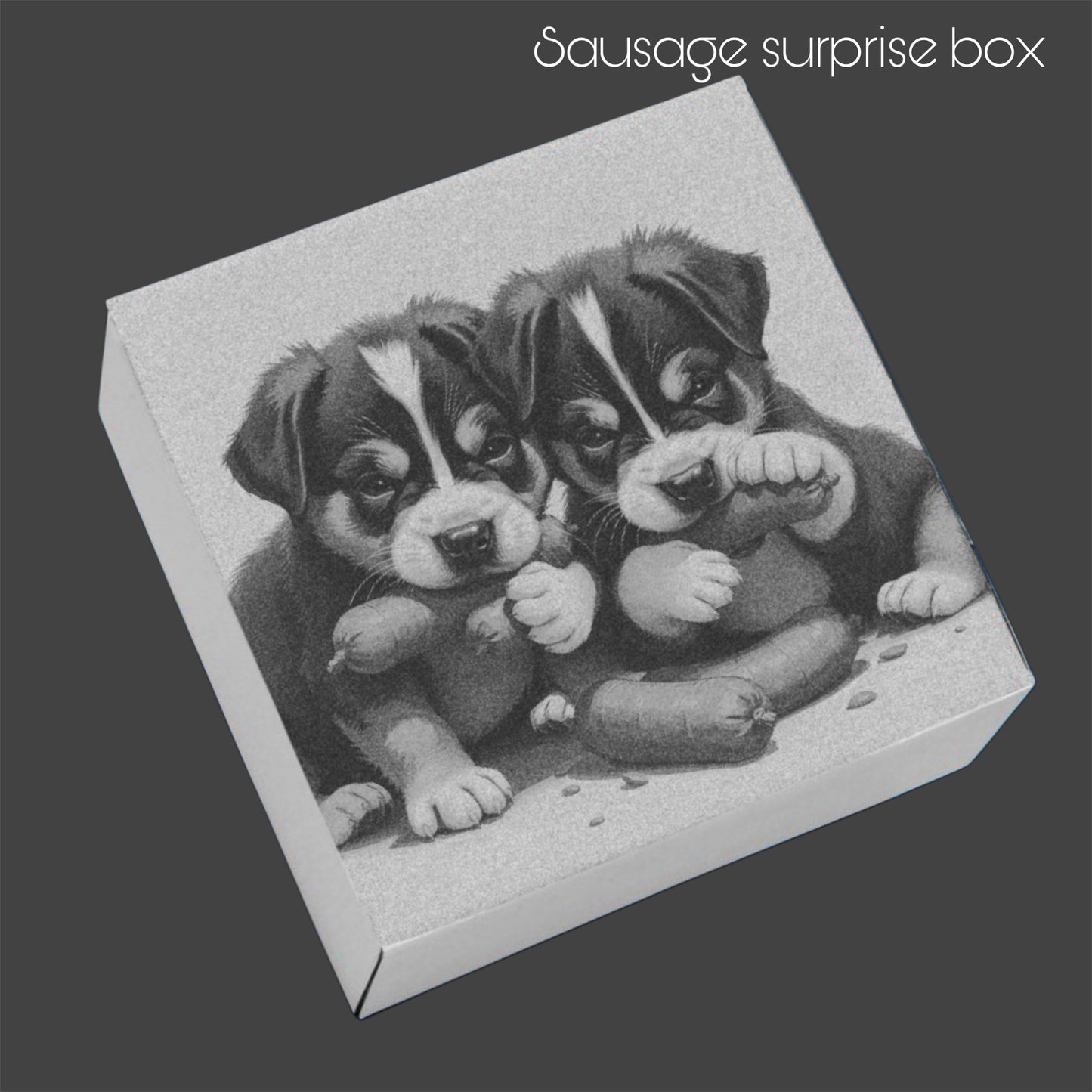 Sausage surprise Treat Bo