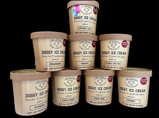 Doggy Ice Cream Kit