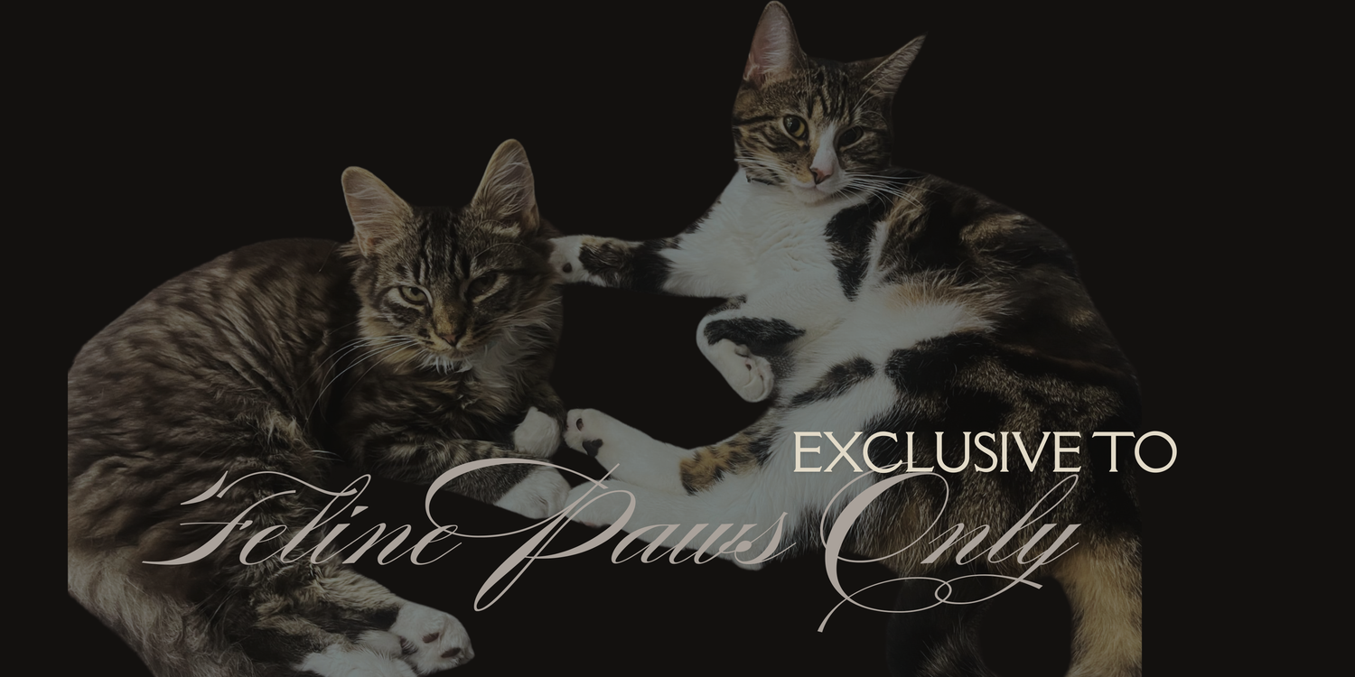 Feline Paws Only