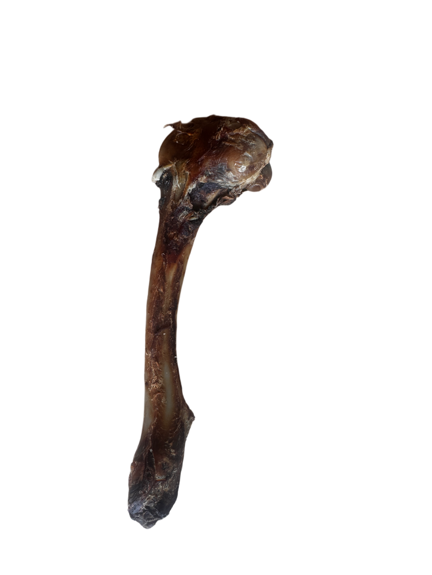 Ostrich bone